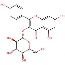 3-Glukozyd kaempferolu [480-10-4]